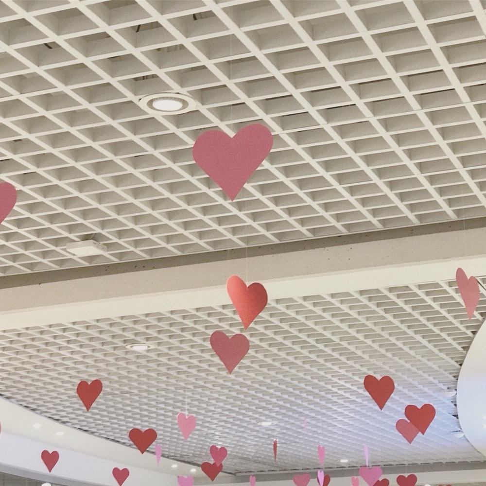 Meet your Posher, Edelawit